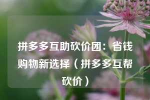 拼多多互助砍价团：省钱购物新选择（拼多多互帮砍价）  第1张