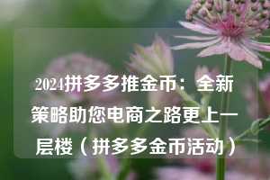 2024拼多多推金币：全新策略助您电商之路更上一层楼（拼多多金币活动）  第1张