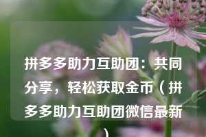 拼多多助力互助团：共同分享，轻松获取金币（拼多多助力互助团微信最新）  第1张