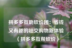 拼多多互助砍价团：省钱又有趣的社交购物新体验（拼多多互帮砍价）  第1张