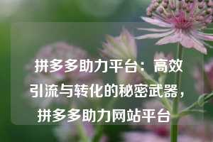  拼多多助力平台：高效引流与转化的秘密武器，拼多多助力网站平台 第1张