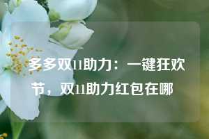  多多双11助力：一键狂欢节，双11助力红包在哪 第1张