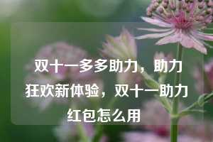  双十一多多助力，助力狂欢新体验，双十一助力红包怎么用 第1张