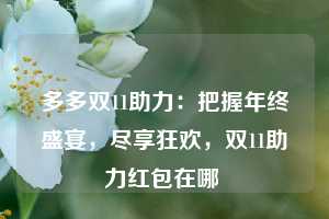 多多双11助力：把握年终盛宴，尽享狂欢，双11助力红包在哪  第1张