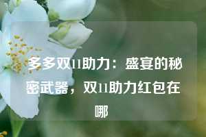  多多双11助力：盛宴的秘密武器，双11助力红包在哪 第1张